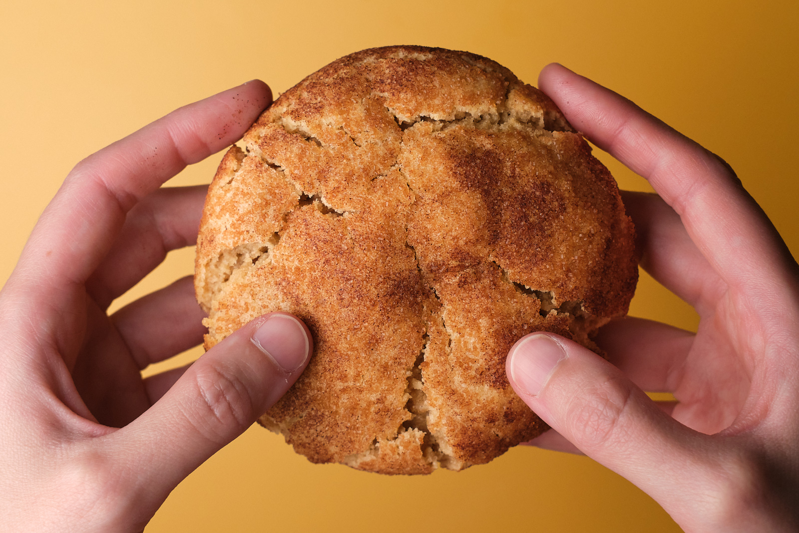 Фото Ducle de Leche / Іріска | Купити кукіз з вареним згущеним молоком та корицею