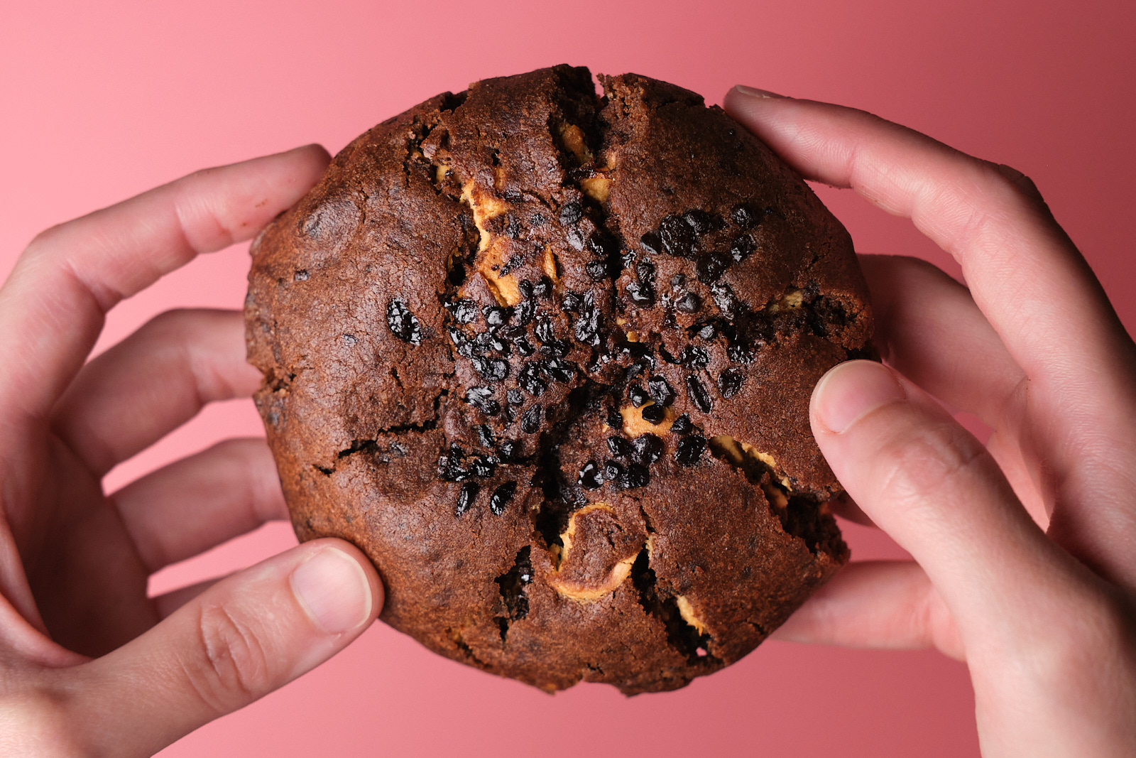 Фото Coffee Choco / Кавове | Купити кукіз з кавою та карамельним шоколадом